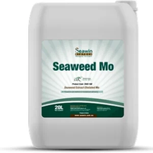 SEAWEED MO