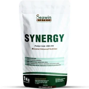 SYNERGY (Bacillus Subtilis)