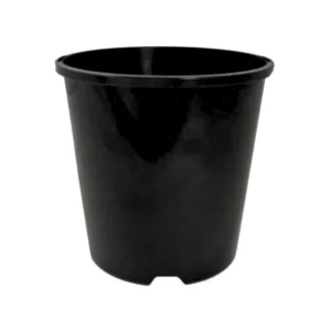Pot 1.9L 150mm with Holes Each / 10 Pack / 20 Pack