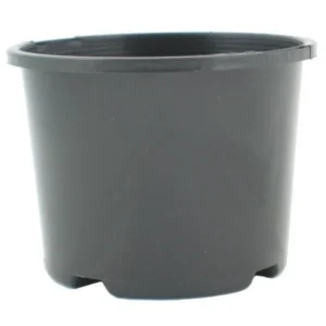 Squat Pot 0.6L 110mm with Holes Each / 10 Pack / 20 Pack