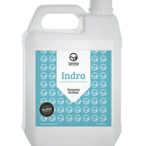 Indra